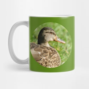 Female Mallard in the Grass Photograph Mug